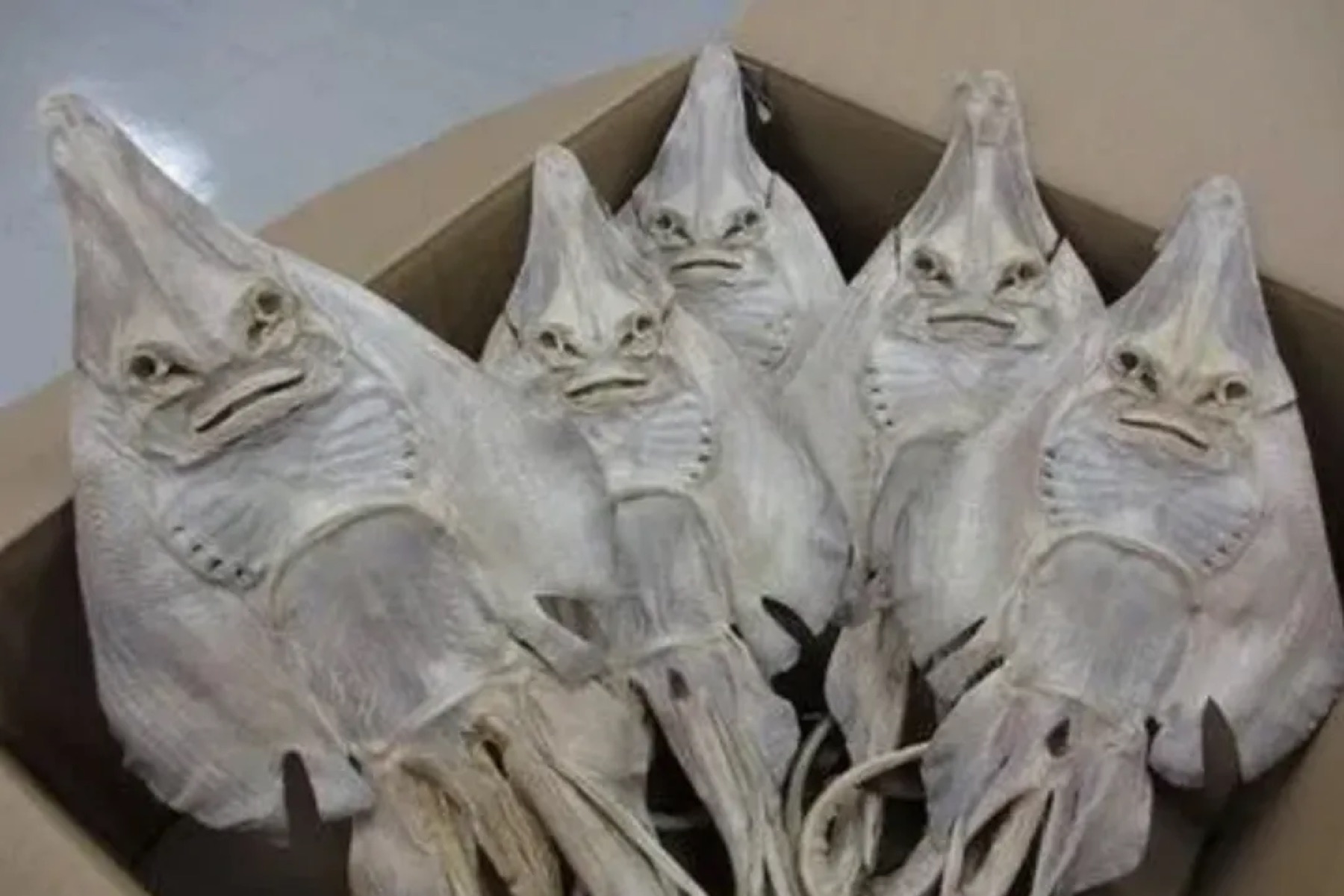 图片展示了一箱包装好的鱼，鱼头被塑料袋包裹，露出类似人头的面部特征。图片位于介绍React服务端渲染原理中“核心思想”部分，用于形象地说明服务端渲染返回的页面内容，即“服务端渲染返回的页面内容是固定的，不会根据用户操作而变化”。